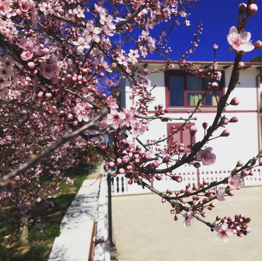 Il Profumo Della Natura B&B Oriolo Romano Zewnętrze zdjęcie